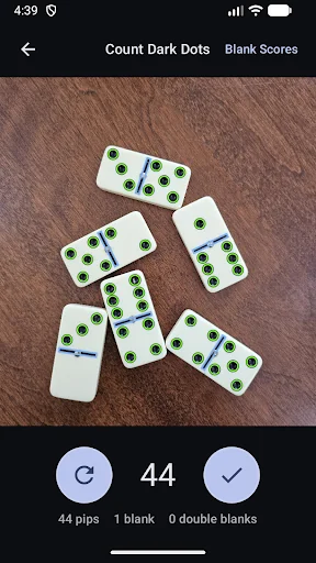 Domino Dot Counter screenshot 2