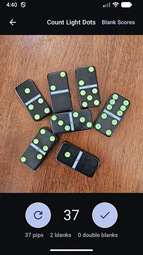 Domino Dot Counter screenshot 3