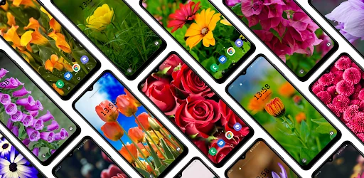 Flower Wallpaper