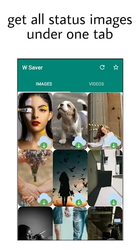 W Saver - Status Downloader