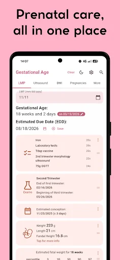Gestational Age (baby's age)