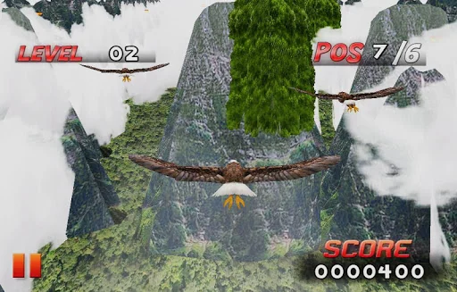 Bird Race 3D