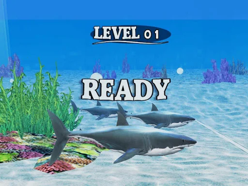 Fish Race