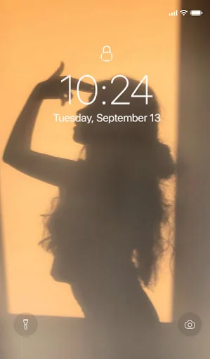 Shadow Wallpaper