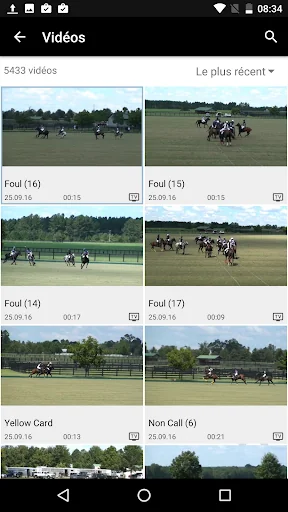 Polo Umpire