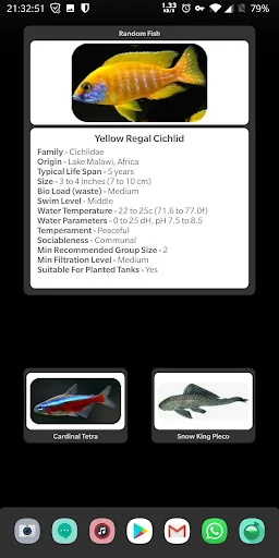 Tropical Fish Widget