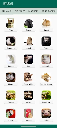 Vet Nurse Quick Reference
