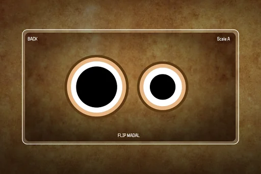 Madal Bajau - Folk Instrument screenshot 3