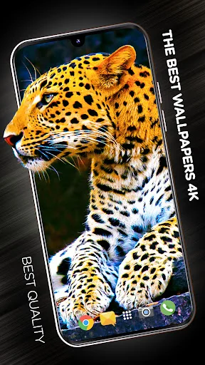 Animals Wallpapers for phone