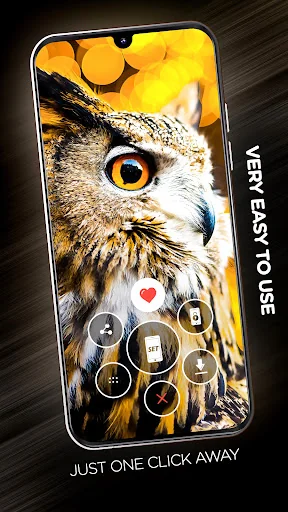 Birds Wallpapers in 4K screenshot 2