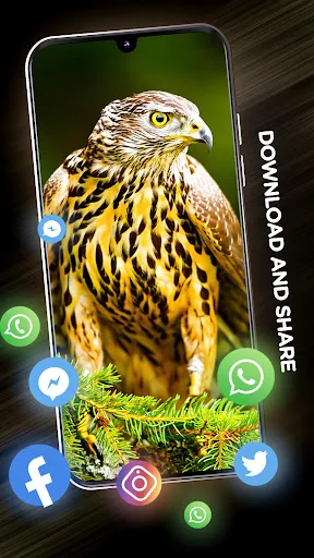 Birds Wallpapers in 4K screenshot 3