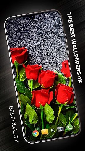 Flowers Wallpapers in 4K screenshot 1