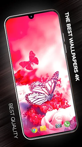 Insects Wallpapers in 4K