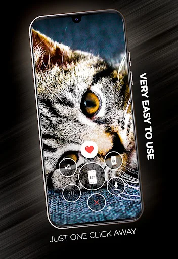 Cute animals Wallpapers screenshot 2