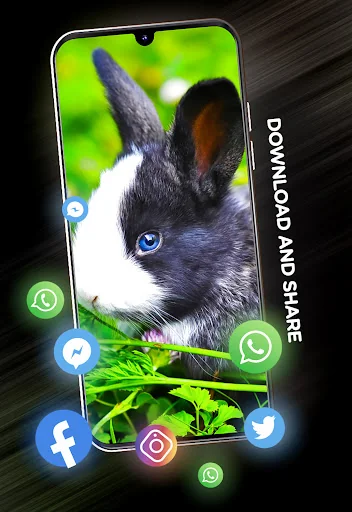 Cute animals Wallpapers screenshot 3