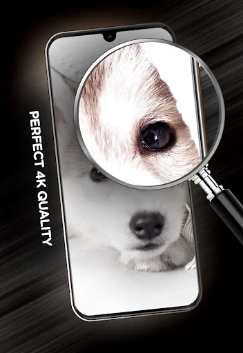 Cute animals Wallpapers screenshot 4