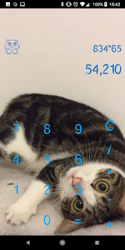 Cat Calculator