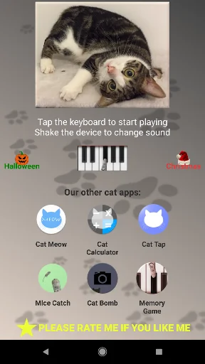 Cat Piano