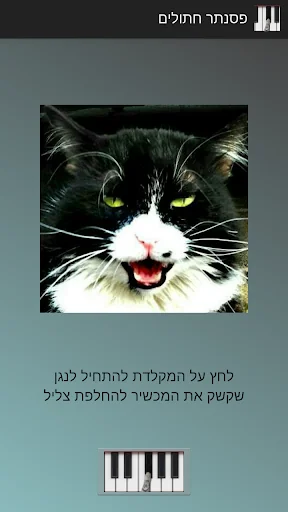 פסנתר חתולים screenshot 4