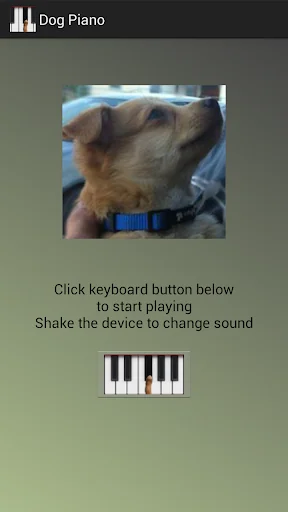 Dog Piano screenshot 1