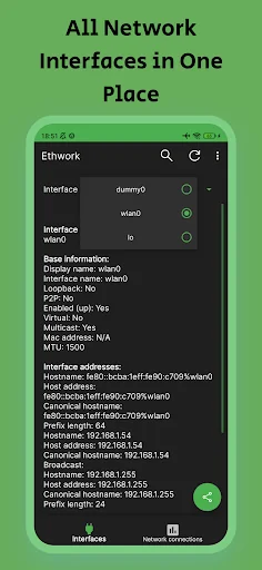 Ethwork: Network interfaces