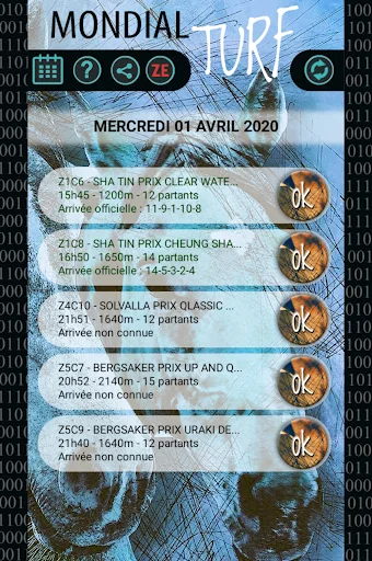 Mondial Turf - Jouez avec Zetu
