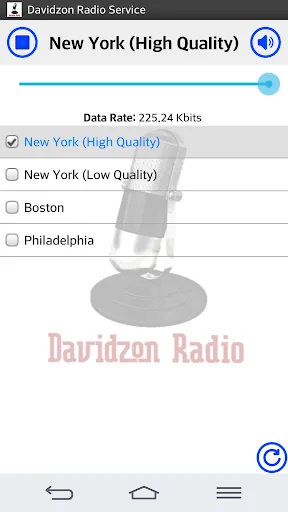 Davidzon Radio screenshot 1