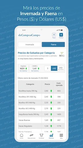 de Campo a Campo