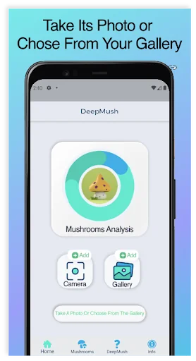 Mushroom Classification(AI)