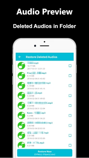 Deleted Audio Recovery screenshot 4