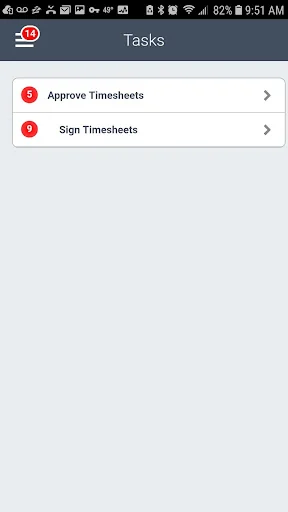 Costpoint Time and Expense screenshot 4