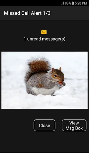 Missed Call Alert screenshot 3