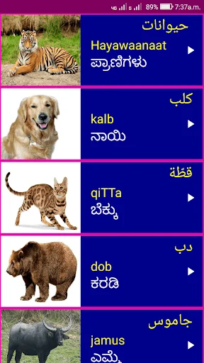 Learn Arabic From Kannada