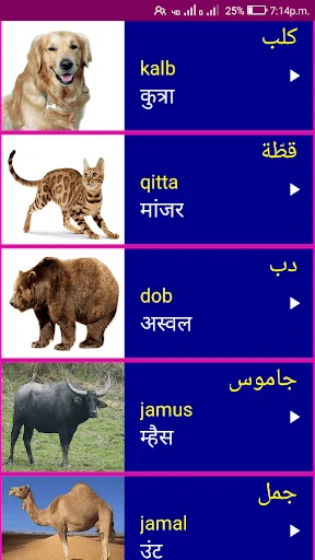 Learn Arabic From Marathi