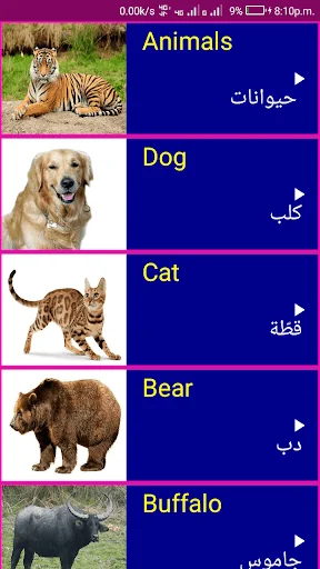 Learn English From Arabic