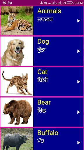 Learn English From Punjabi