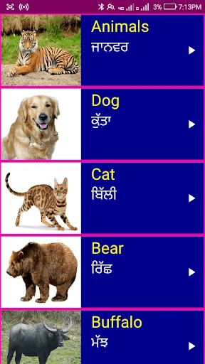 Learn English From Punjabi