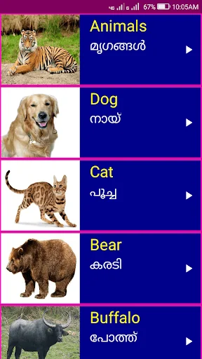 Learn English from Malayalam