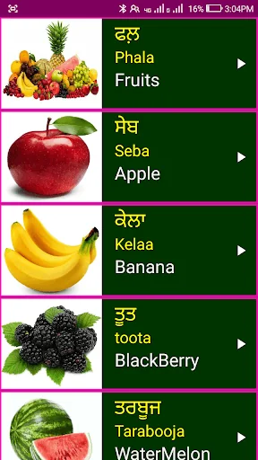 Learn Punjabi From English screenshot 3