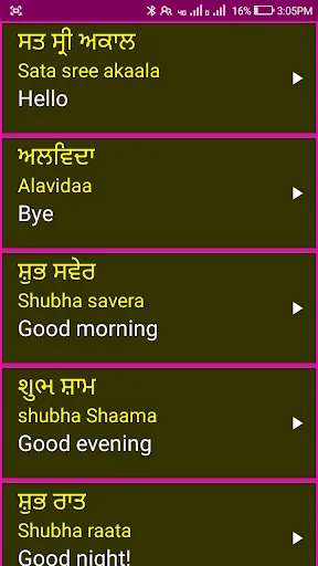 Learn Punjabi From English screenshot 4