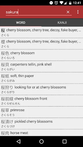 Pocket Kanji