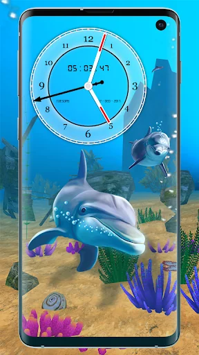 Dolphin Fish Wallpapers App