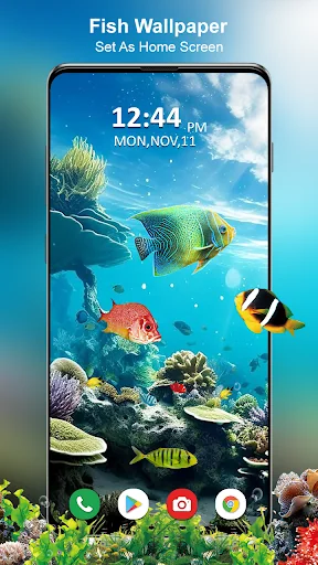 Koi Fish Live Wallpaper 3D screenshot 1