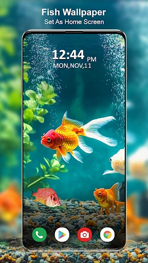 Koi Fish Live Wallpaper 3D screenshot 2