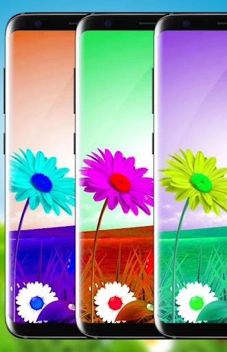 Green Grass Live Wallpaper HD