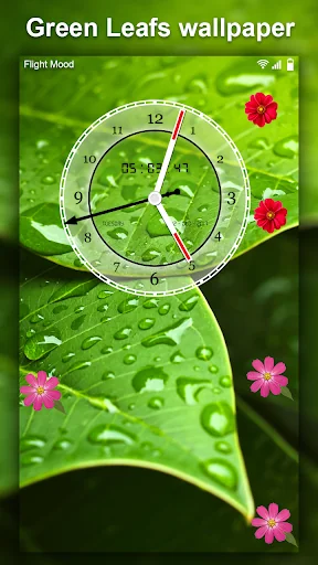 Green Leaf Live Wallpaper HD screenshot 4