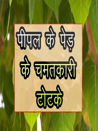 पीपल के पेड़ के टोटके