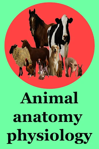 Animal anatomy physiology