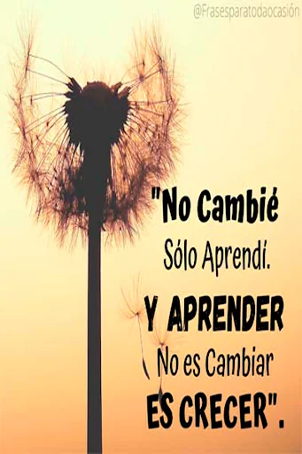 Frases Para Toda Ocasión