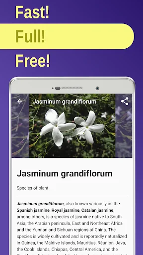 Medicinal plants & Herbs screenshot 1